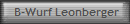 B-Wurf Leonberger